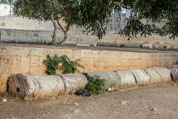Columns from Temple Period 2