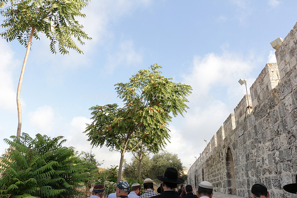 Heading North Along Eastern Wall 3