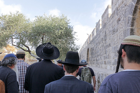 Heading North Along Eastern Wall 4