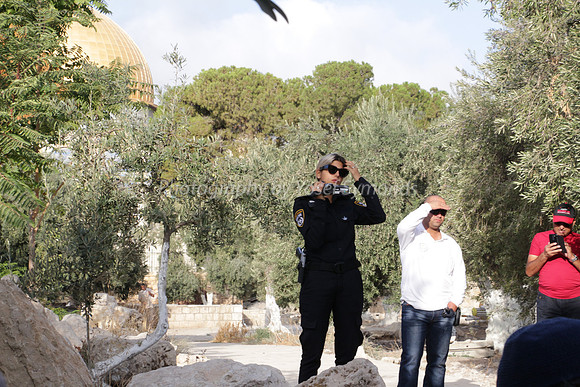 Videoing and Watching Jews