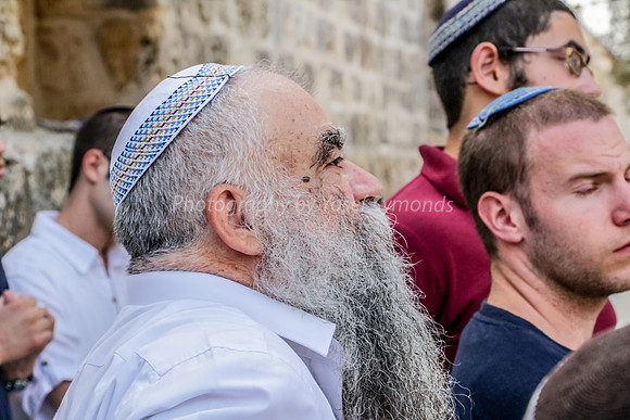 Rav Yitzchak Levy Guides Group 5