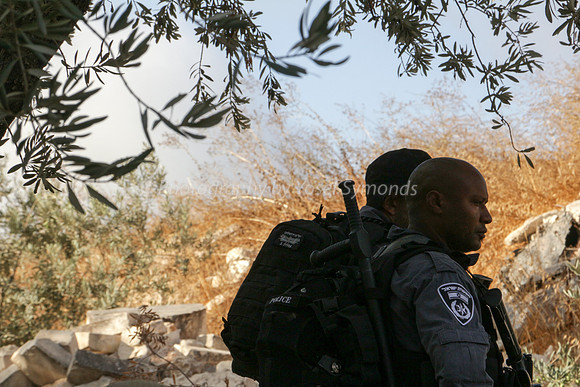 Police Guards 2