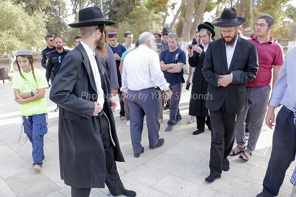 Rav Yitzchak Levy Guides Group 17