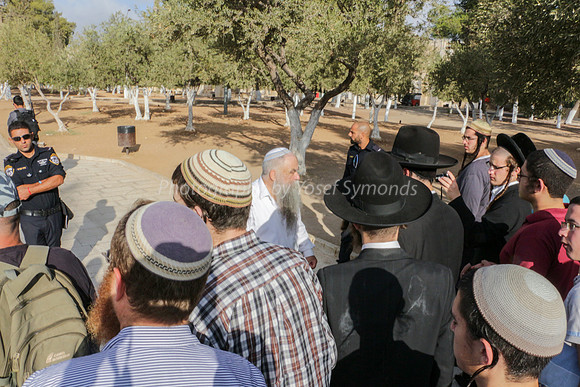 Rav Yitzchak Levy Guides Group 18