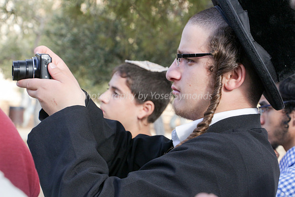 Capturing the Words