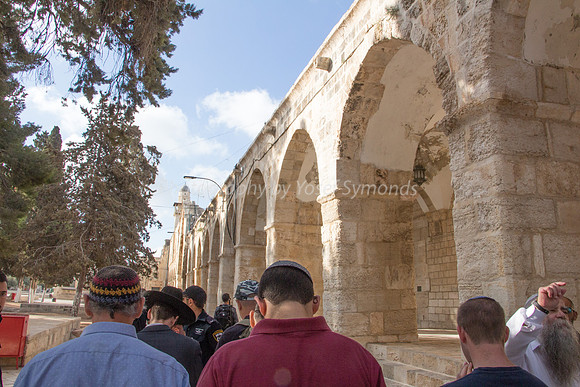 Rav Yitzchak Levy Guides Group 31