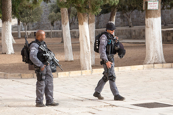 police Guards 7