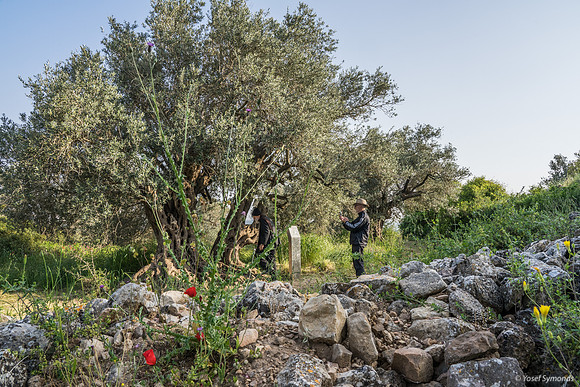Givat ha Yekavim 19