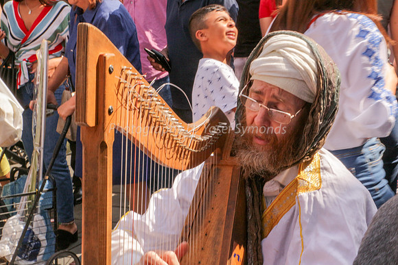 The Harpist 1