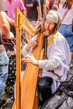 The Harpist 2