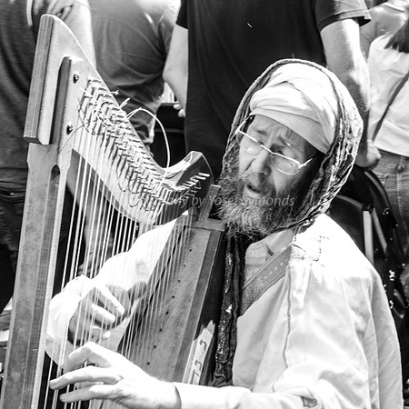 The Harpist 4