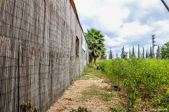 Exterior view of the workshop center and field