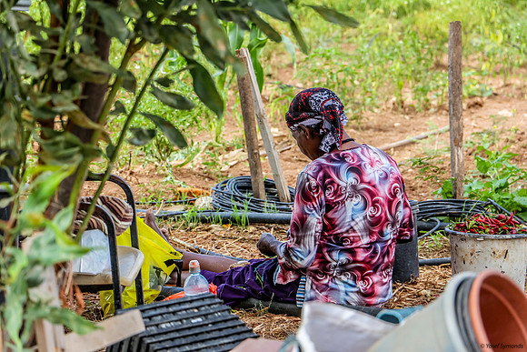 Elderly farmer woman in Beta Israel Village