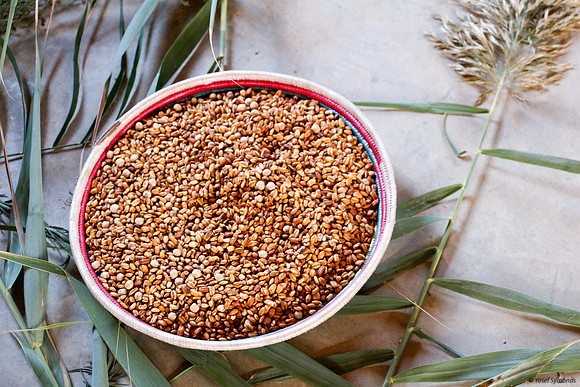 Kolo - dried roasted wheat in Beta Israel Village