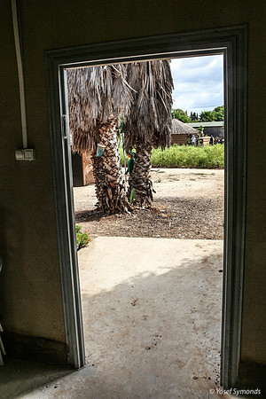 Beta Israel Village 5