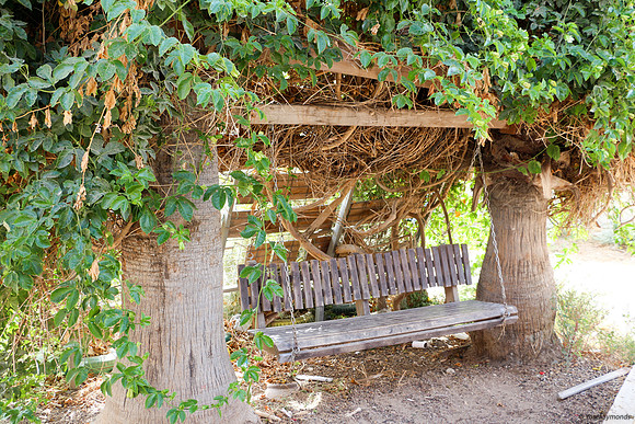 Sitting areas in Beta Israel Village