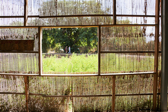Looking out from the window 2