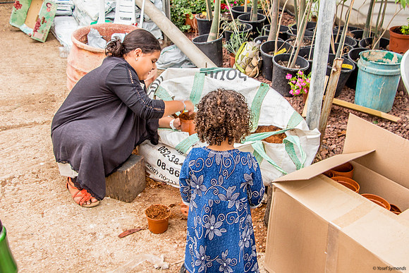 Planting workshop