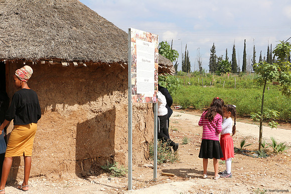 Visitors