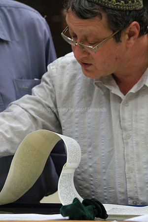 Checking the Parchment Scroll 4