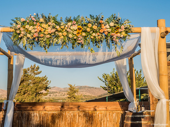 Beauty of Outdoor Chuppah 220912-1