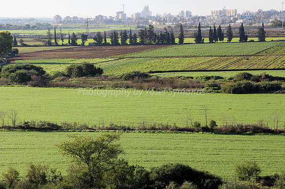 Agricultural Land Opposite Airport City 3