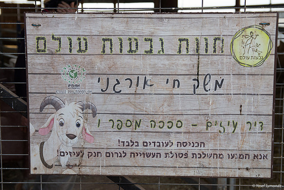 Animals Here Welcome Only Feeders