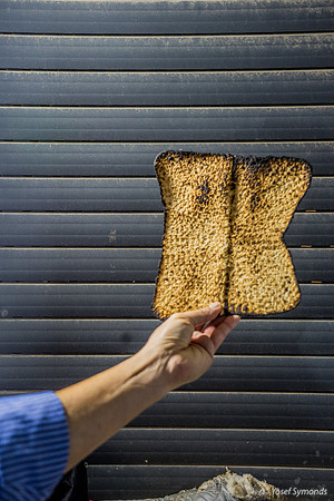 Butterfly Matza 190408-3