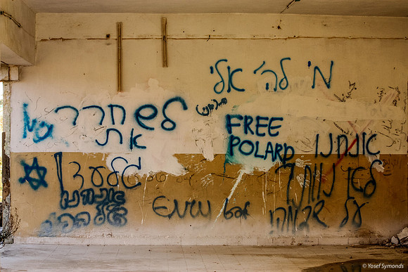 Wall Feelings at Shdema 100129-1