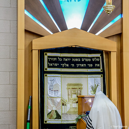 Prayer Leader Before Holy Ark 1