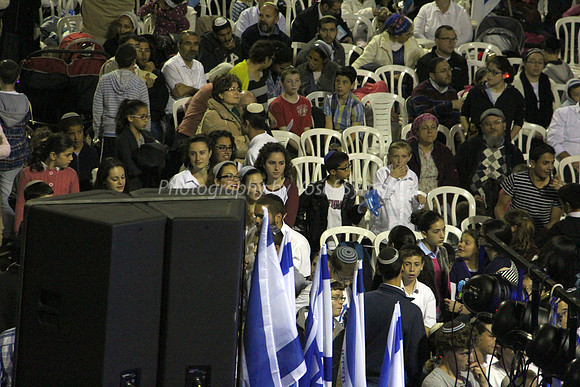 Independence Day Celebration Audience 2