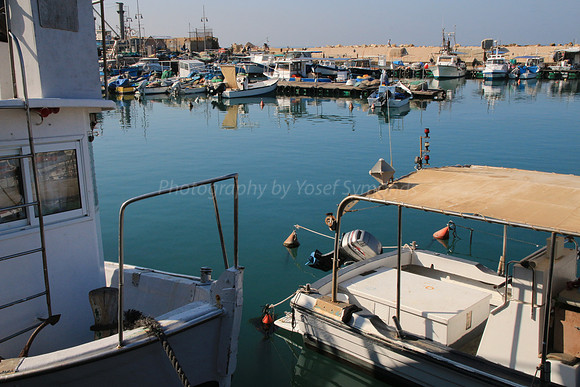 Jaffa Fishing Port