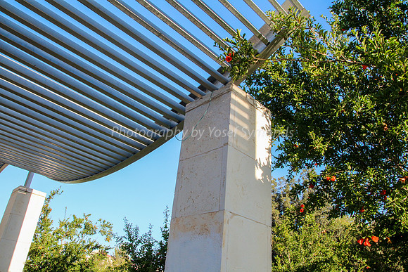 Undulating Pathway Cover - Park Ayalon - 23