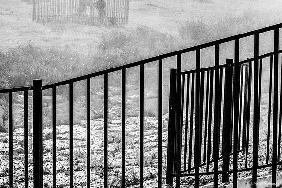 Watering Time 250720-6