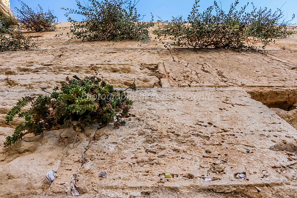 Western Wall Overhead 1