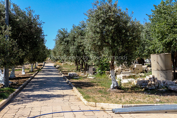 170529-HarHabayit-Elboim-0939-2