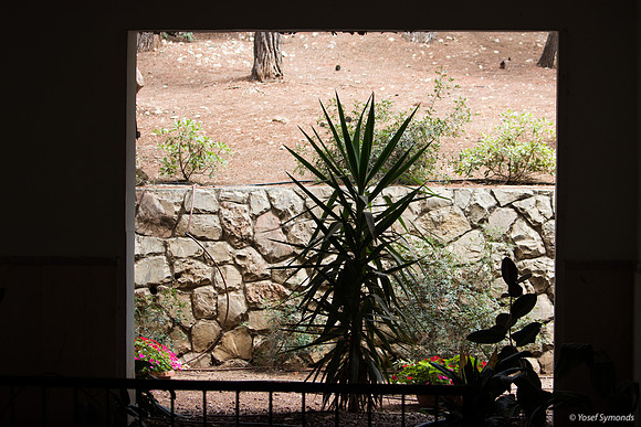 Looking Out Onto Garden 190908-2
