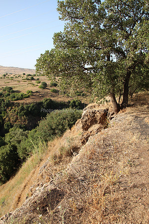 On Slopes of Snir 1