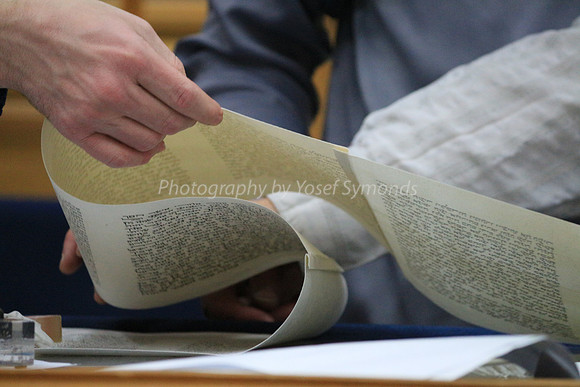 Checking the Parchment Scroll 5