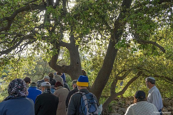 Givat ha Yekavim 6