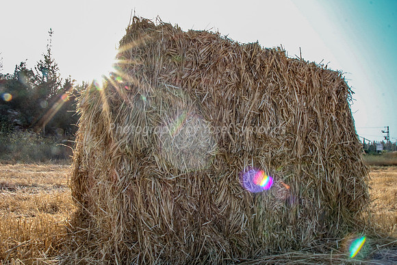 Haystack in Flare -   170721-17
