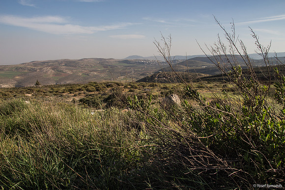 View Looking East from Mount Kida 3
