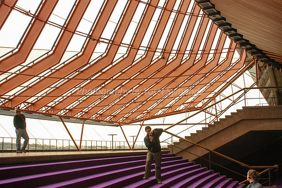 Foyer, Steps and Ceiling 4