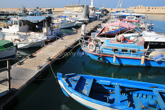 Jaffa Fishing Port