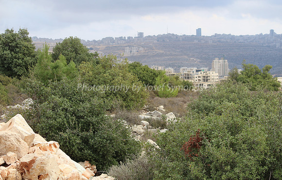 View towards Ramallah - Harasha