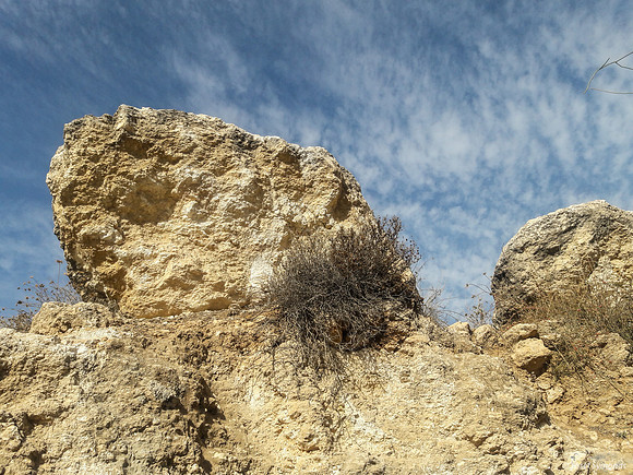Rock Outcrop on Empty Lot 2