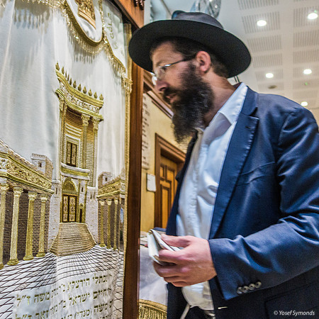Prayer at Ark in Kever Rachel Complex 221107-2