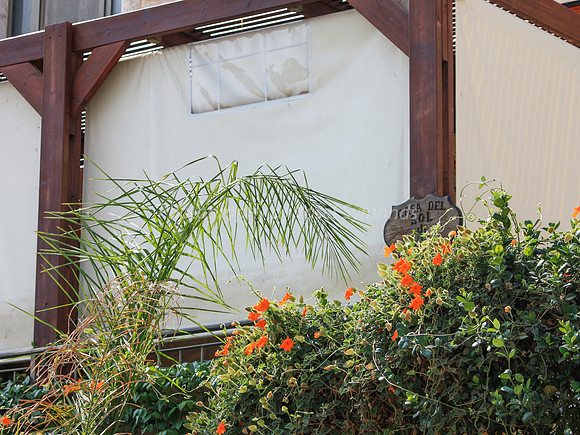 Cornerstone Sukkah 2