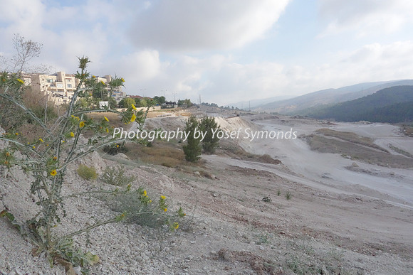 Mishkafayim 2014 Q3 DSC02143