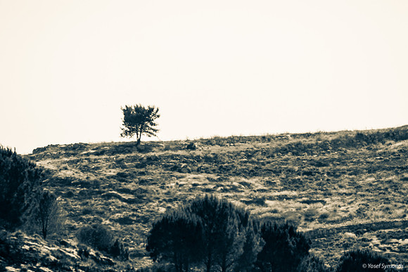 Destination Hill 210621-1